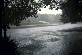 Lots of Rain at Williamsburg